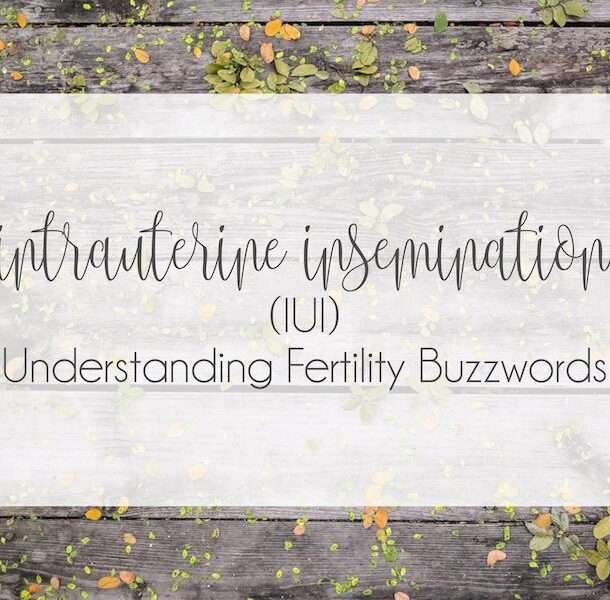 Understanding Fertility Buzzwords : Intrauterine Insemination (IUI)