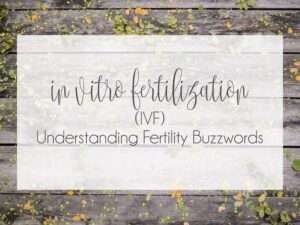 Understanding Fertility Buzzwords : In Vitro Fertilization (IVF)