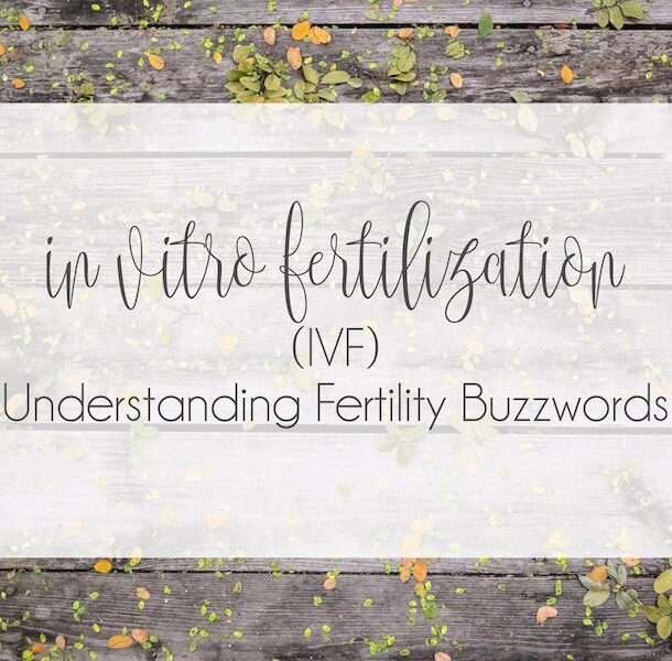 Understanding Fertility Buzzwords : In Vitro Fertilization (IVF)