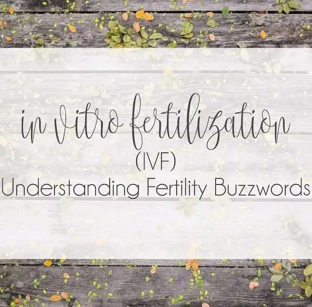 Understanding Fertility Buzzwords : In Vitro Fertilization (IVF)