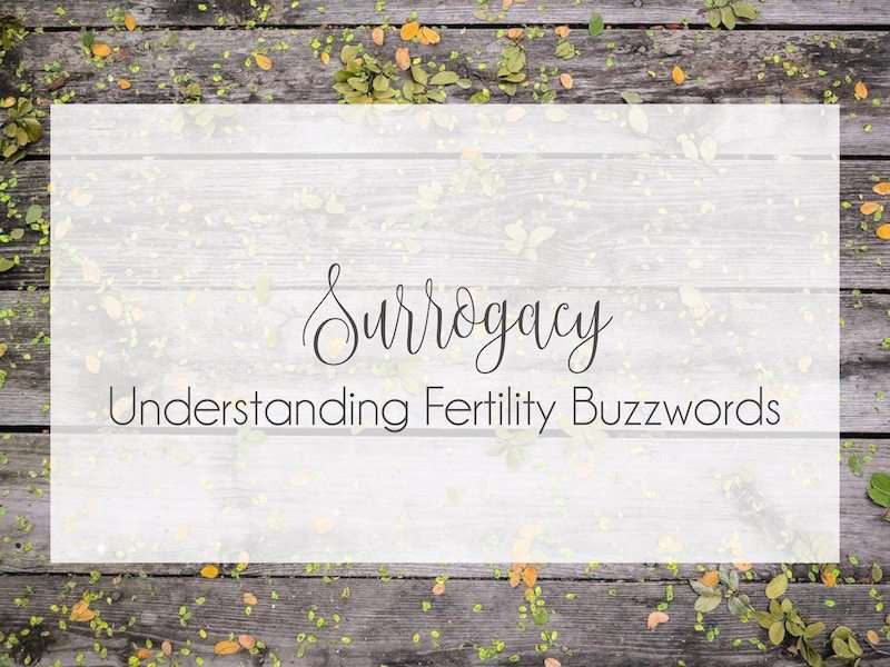 Understanding Fertility Buzzwords : Surrogacy