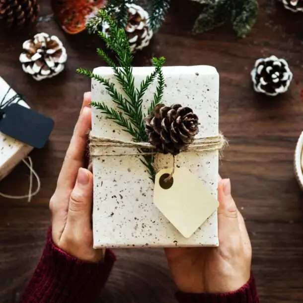 Healthy Holiday Gift