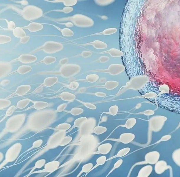drawing of sperm seeking an egg with a blue background