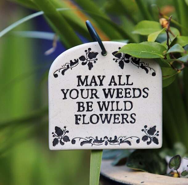 How to do a Spring Cleansing Before Pregnancy, image of garden sign, May All Your Weeds Be Wild Flowers