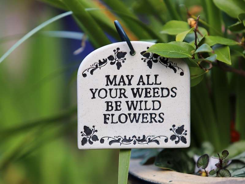 How to do a Spring Cleansing Before Pregnancy, image of garden sign, May All Your Weeds Be Wild Flowers