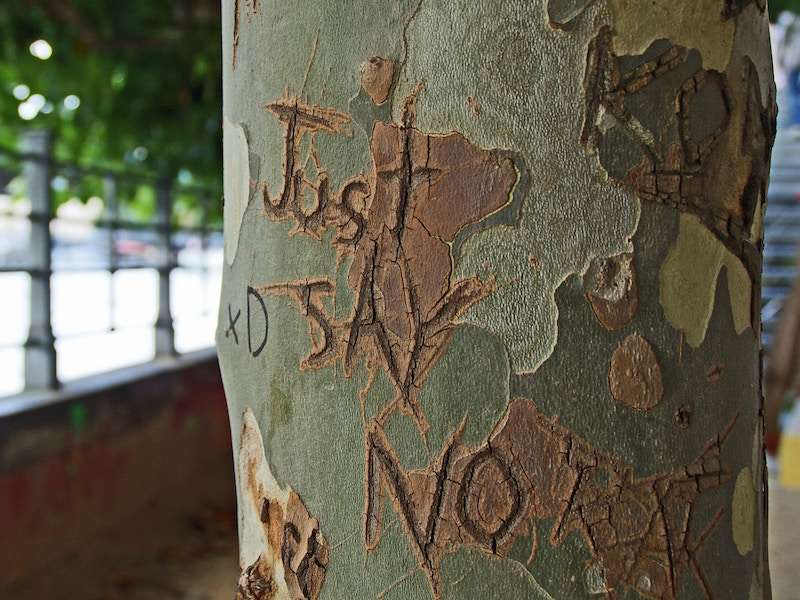 The Worst Fertility Myths Part Two, image of "just say no" carved into a tree