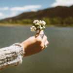 Benefits of CBD Oil for Women, Part Three