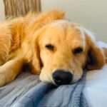 Extreme Fatigue: What It Means For Your Hormones