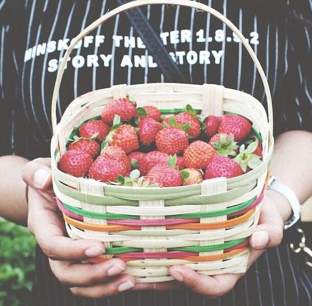 organic for fertility