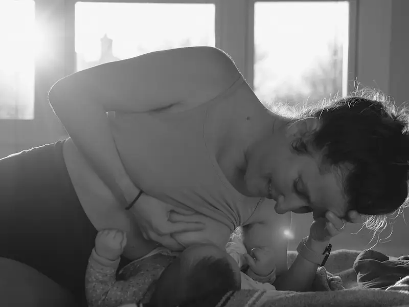Hormones in the Postpartum Window