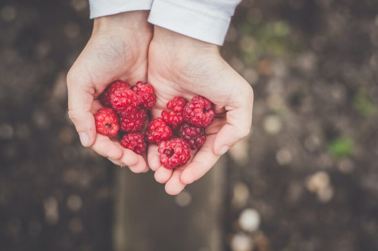 A lady holding red berries in her hands